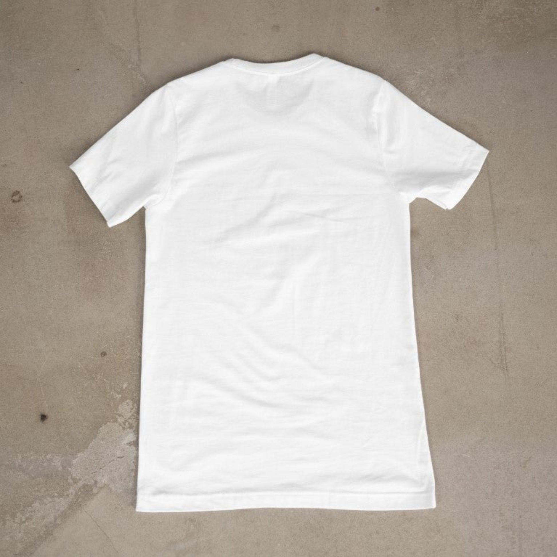“Back view of plain white unisex tee shirt”